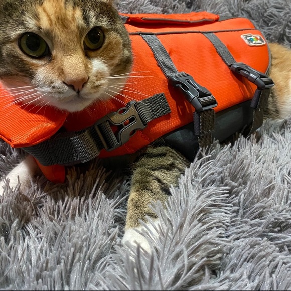 Outward Hound Small Orange Life Vest - Picture 2 of 8